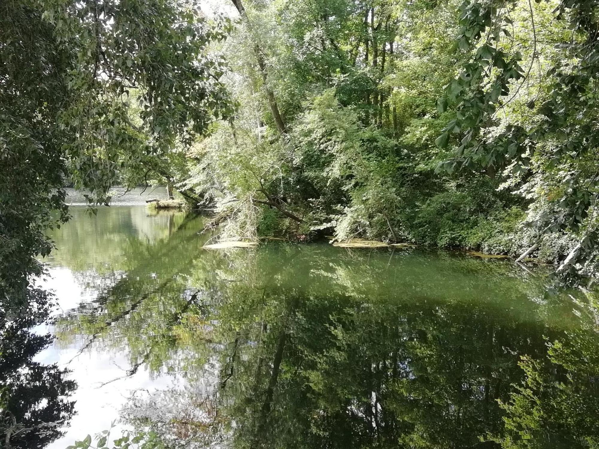 Studio Au Coeur De La Vallee De La Loire Azay-sur-Cher Esterno foto